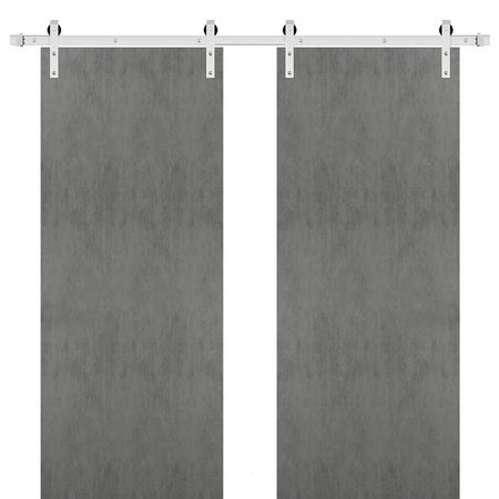 SARTODOORS Double Barn Interior Door, 48" x 80", White PLANUM0010DB-S-BTN-60